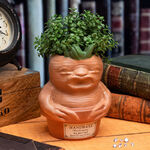 Harry Potter Mandrake Root Pen and Plant Pot - PP9648HP