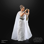 Star Wars The Black Series Princess Leia Organa Yavin (Lucasfilm 50th Anniversary) - F1264