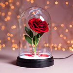 Disney: Beauty and the Beast - Enchanted Rose Light - PP4344DPV4