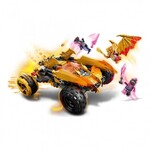 Lego Ninjago Cole's Dragon Cruiser - 71769