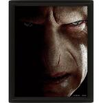 Harry Potter (Harry VS Voldemort) 26 x 4cm 3D Lenticular Poster (Framed) - EPPL71335