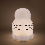 Harry Potter Hedwig Light- PP9564HP